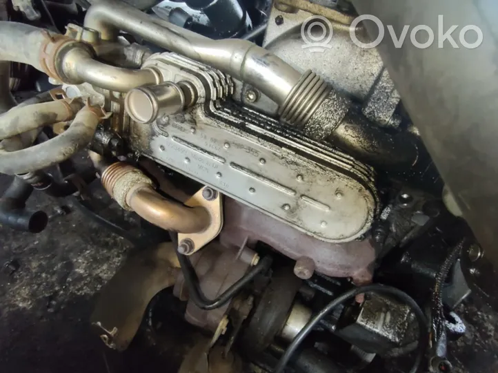 Volkswagen Bora Valvola di raffreddamento EGR 038131513D