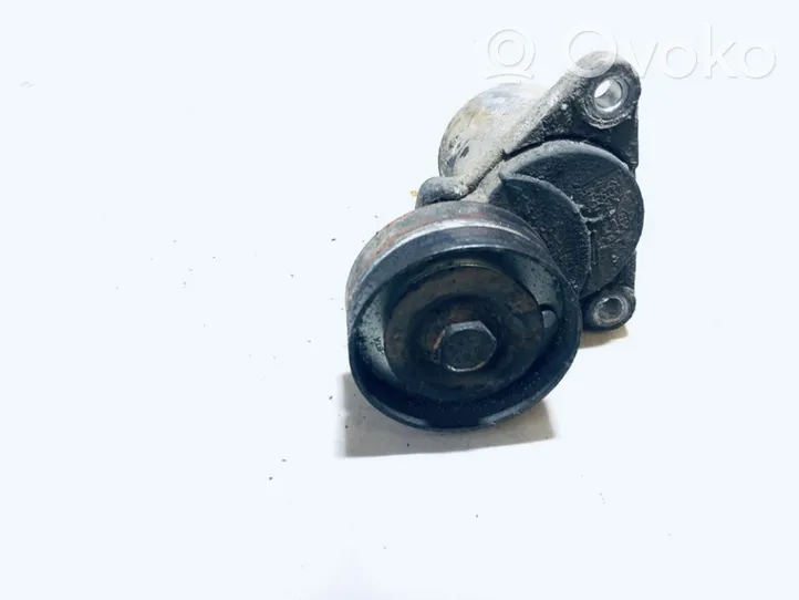 Hyundai Santa Fe Generator/alternator belt tensioner 2528127