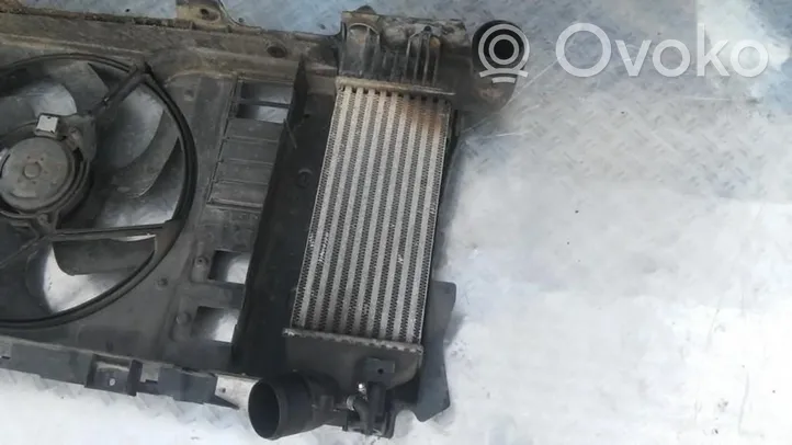 Citroen Xsara Picasso Radiatore intercooler 