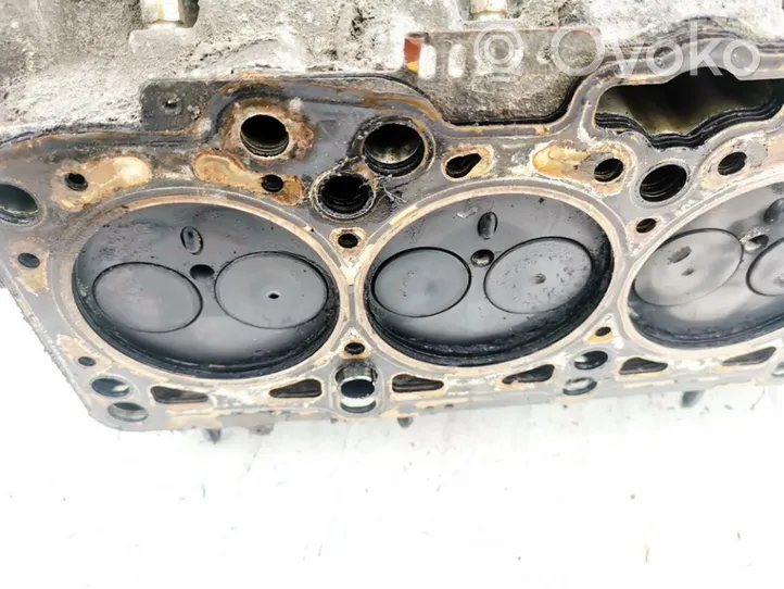 Volkswagen PASSAT B5 Testata motore 038103373