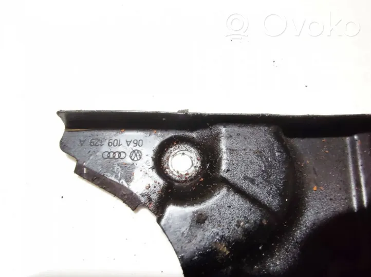 Volkswagen PASSAT B5.5 Timing belt guard (cover) 06A109129A