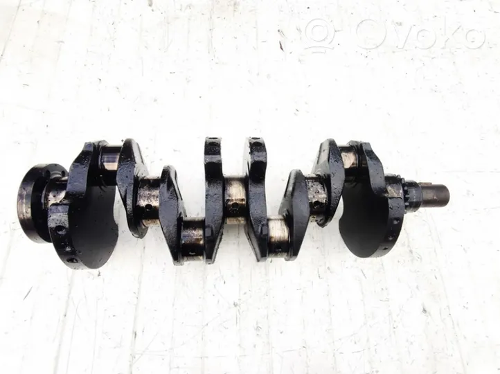 Peugeot 605 Crankshaft 