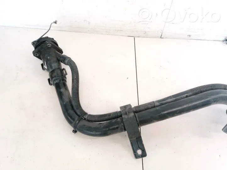 Hyundai Santa Fe Tubo e bocchettone per riempimento serbatoio del carburante 310302bxxx