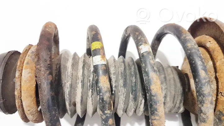 Volkswagen Sharan Front coil spring 