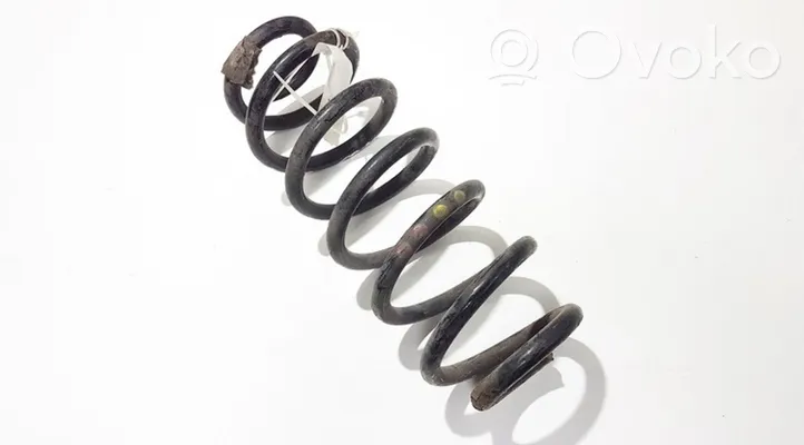 Seat Leon (1P) Rear coil spring 