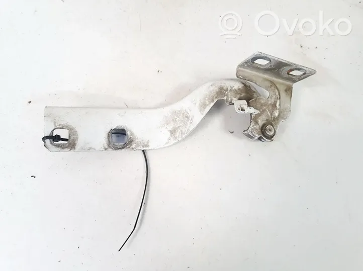 Citroen Jumper Engine bonnet/hood hinges 