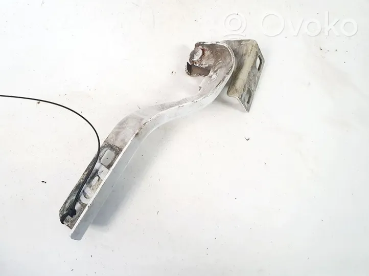 Citroen Jumper Engine bonnet/hood hinges 