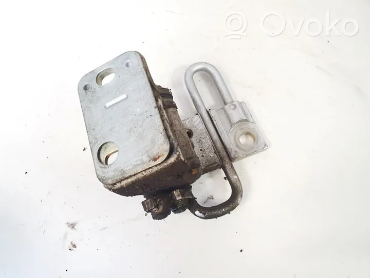 Volkswagen Touran I Tailgate/trunk/boot hinge 1t0333412a