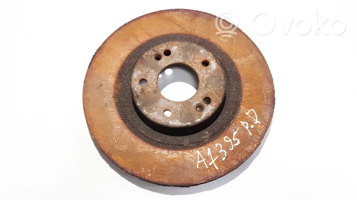 Hyundai Santa Fe Front brake disc ventiliuojamas