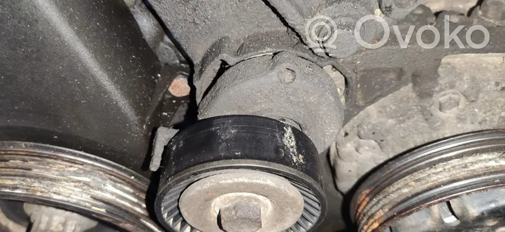 Volkswagen Golf V Napinacz paska alternatora 030145299F