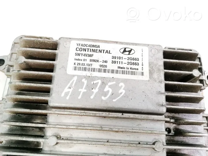 Hyundai Sonata Centralina/modulo del motore 391012G663