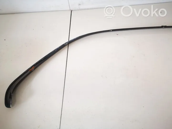 BMW 3 E46 Rear door glass trim molding 