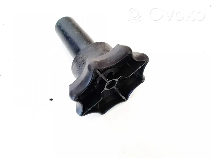 Audi A3 S3 8L Bullone di fissaggio ruota di scorta 8l0803899b