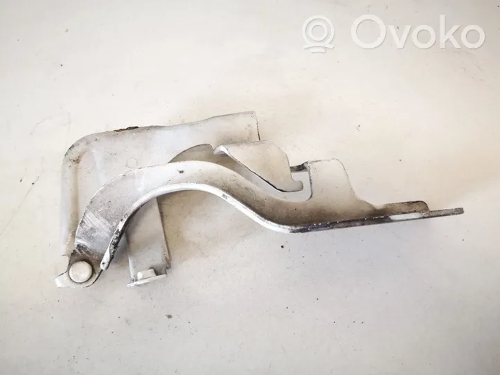 Opel Antara Engine bonnet/hood hinges 