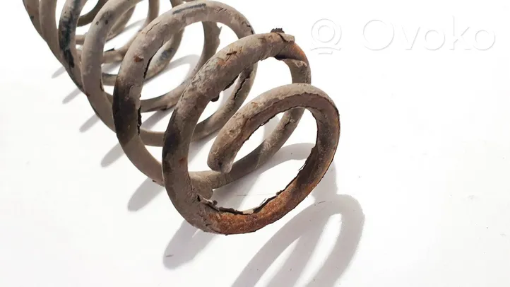 Volkswagen Polo IV 9N3 Rear coil spring 