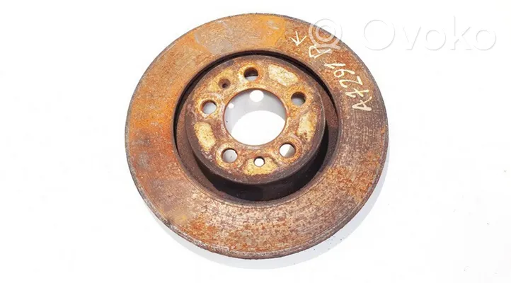 Volkswagen New Beetle Front brake disc ventiliuojamas