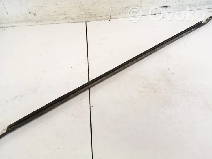 Renault Scenic I Rear door glass trim molding 