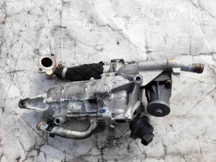 Citroen C5 EGR valve 307494050