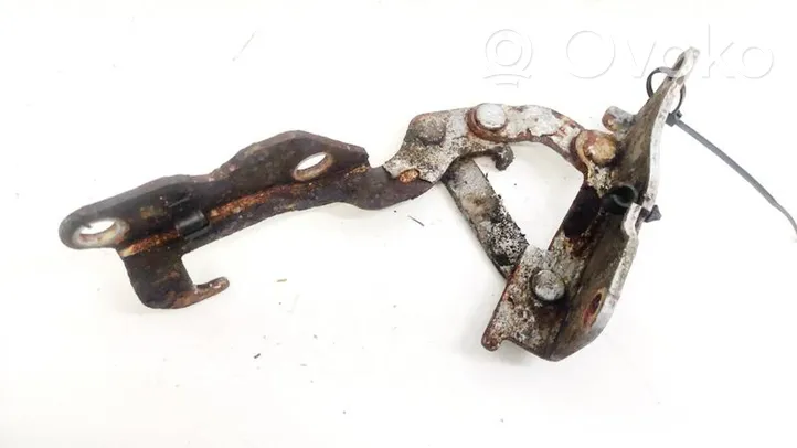 Hyundai Sonata Engine bonnet/hood hinges 