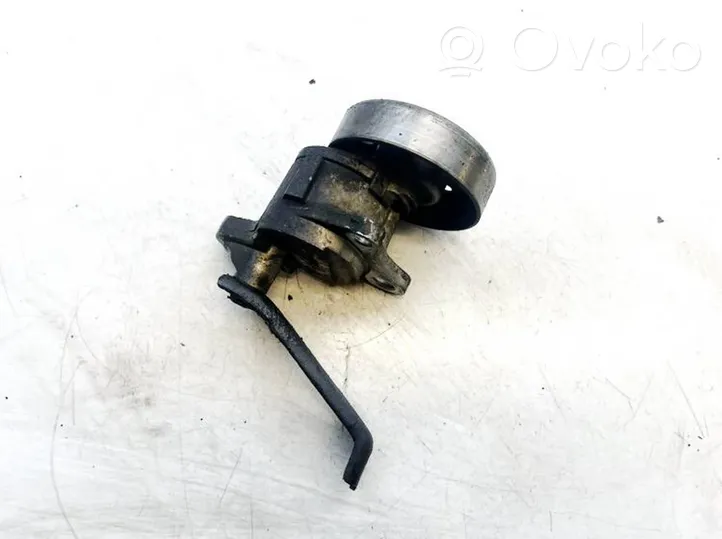 Opel Vectra C Napinacz paska alternatora 490410170088