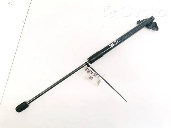 Renault Megane III Tailgate/trunk strut/damper 