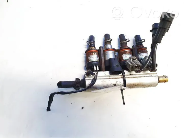 Volkswagen Touareg I Injecteur GPL 110r006219