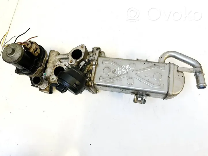 Skoda Octavia Mk2 (1Z) EGR-venttiili/lauhdutin 201310