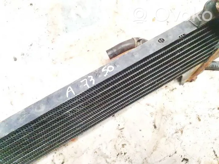 Chrysler Pacifica Fuel cooler (radiator) 