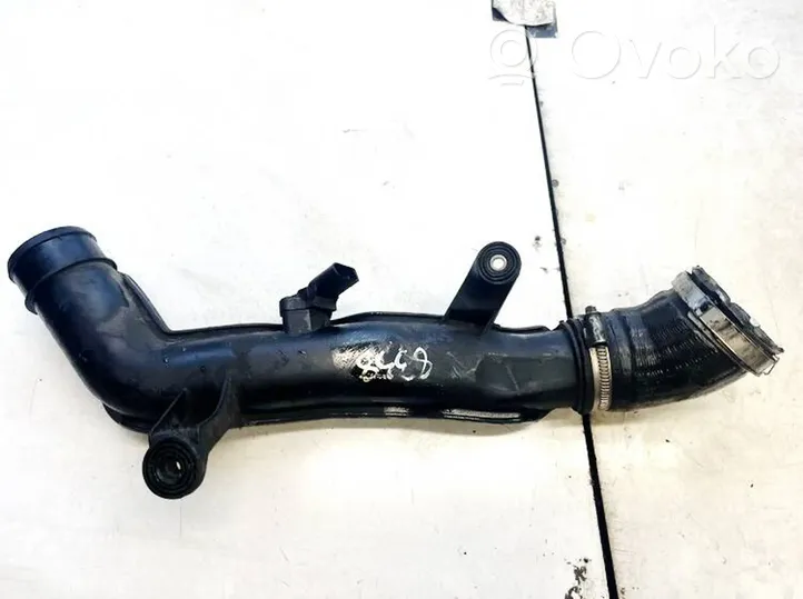 Seat Leon (1P) Žarna (-os)/ vamzdis (-džiai) 1k0145762ae