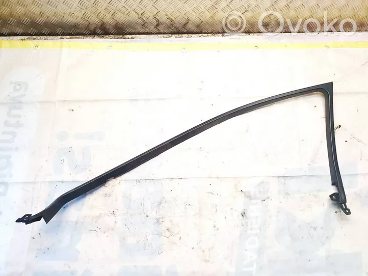 Toyota Avensis T270 Altro elemento di rivestimento della portiera anteriore 6766305010