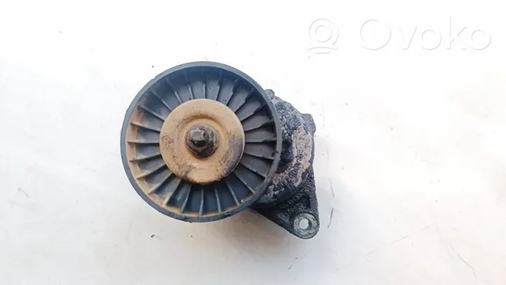 Mercedes-Benz ML W163 Tendicinghia generatore/alternatore A1122000370