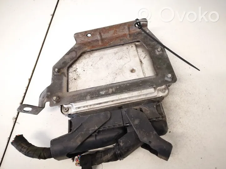 Hyundai Santa Fe Sterownik / Moduł ECU 3910127805