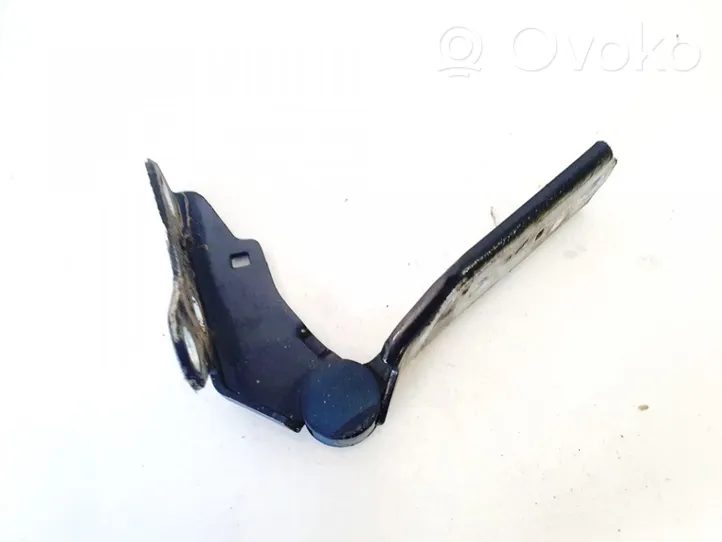 Volkswagen Polo Engine bonnet/hood hinges 