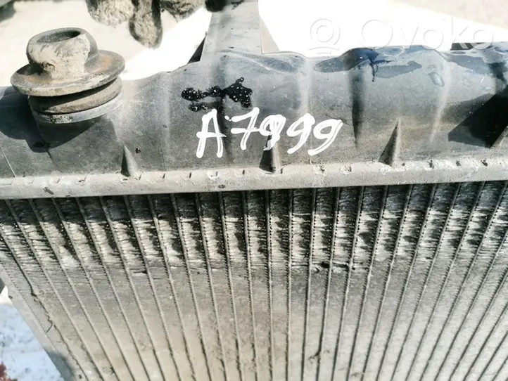 Hyundai Santa Fe Coolant radiator 