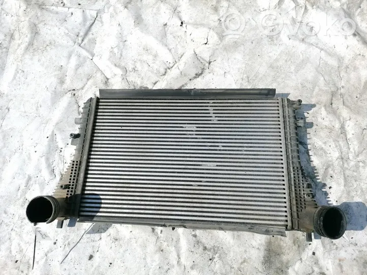Volkswagen PASSAT B6 Interkūlerio radiatorius 1K0145803M