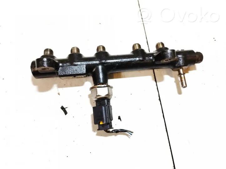 Ford Kuga II Kraftstoffverteiler Einspritzleiste Verteilerrohr 94675g01