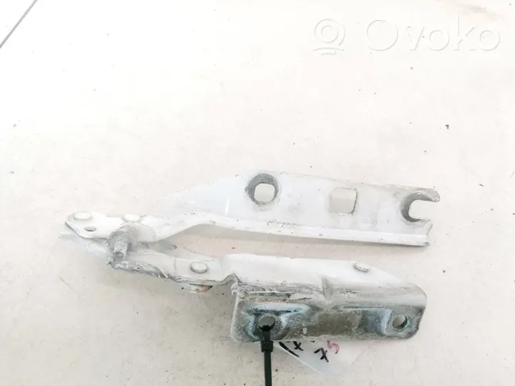 Volkswagen Golf V Cerniere del vano motore/cofano 1K0823301C