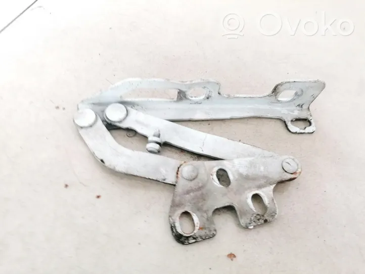 Opel Corsa D Engine bonnet/hood hinges 