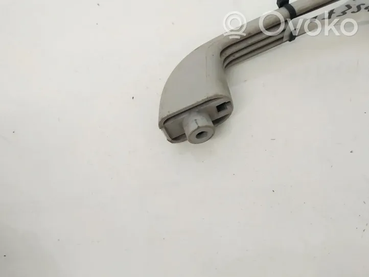 Fiat Ducato Front interior roof grab handle 