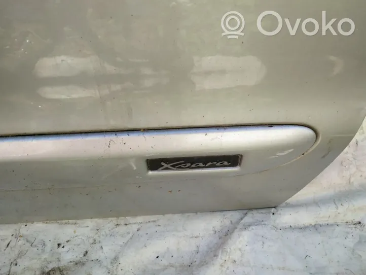 Citroen Xsara Rivestimento della portiera anteriore (modanatura) 