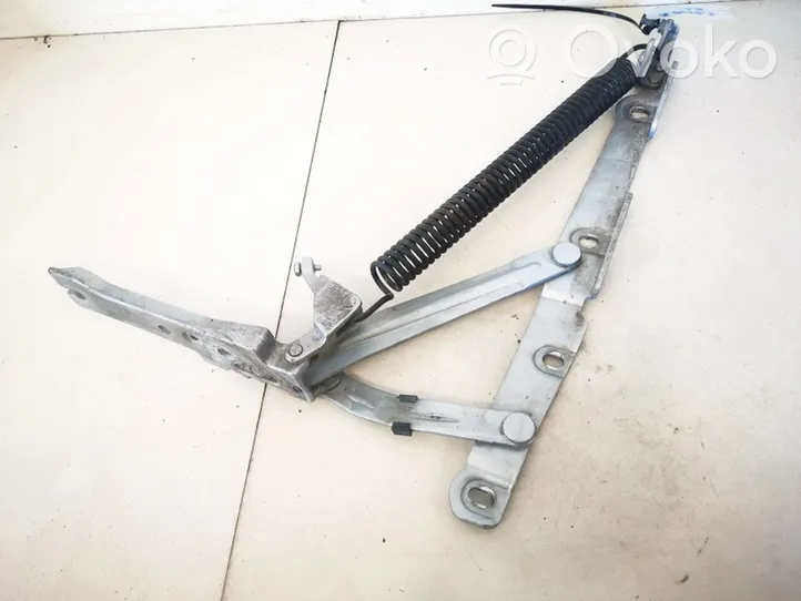 Mercedes-Benz S W220 Tailgate/trunk/boot hinge 