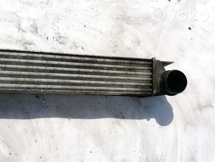 BMW 5 E39 Radiatore intercooler 