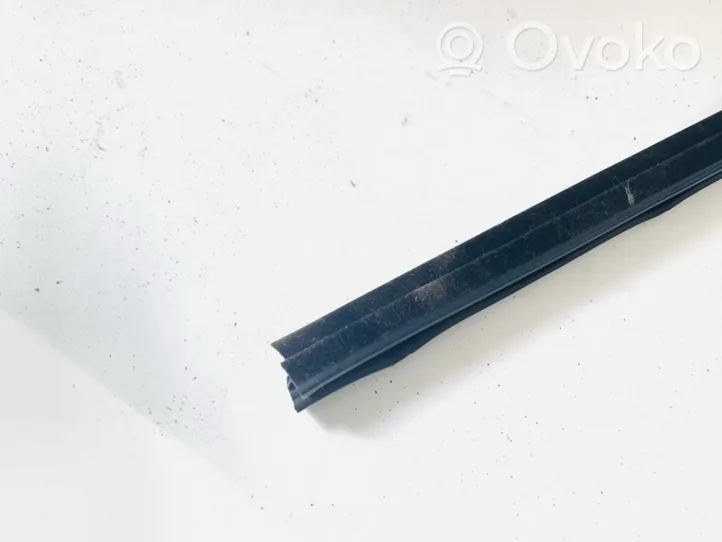 Opel Corsa E Rear door glass trim molding 13188958