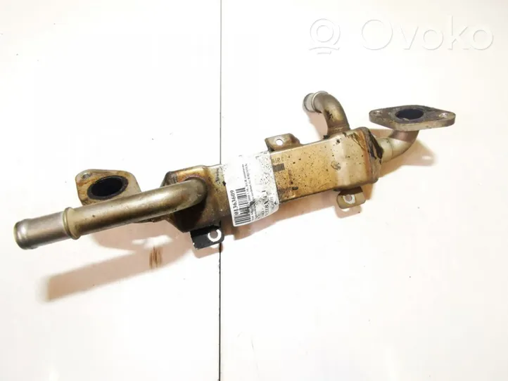 Seat Alhambra (Mk1) EGR valve cooler 038131513c