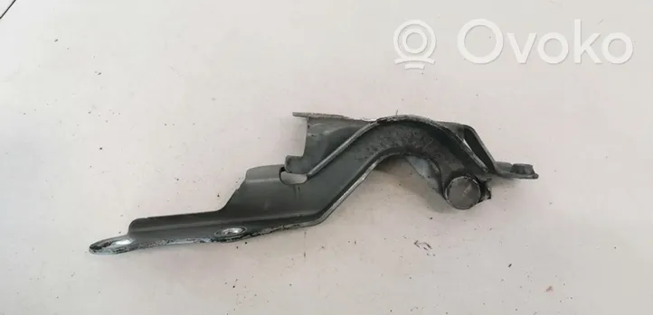 Toyota Corolla Verso E121 Engine bonnet/hood hinges 