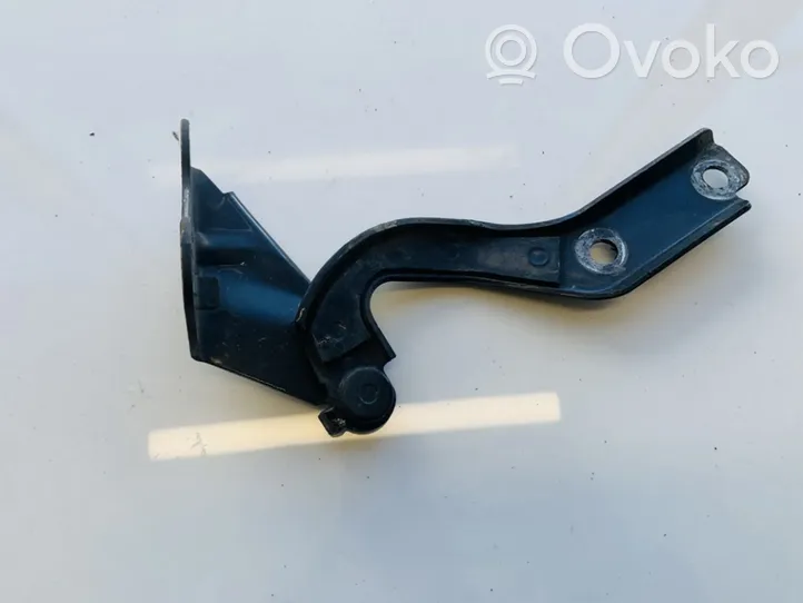 Volkswagen Fox Engine bonnet/hood hinges 5z0823302c