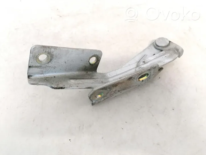 Ford Focus Cerniere del vano motore/cofano xs4116800ae