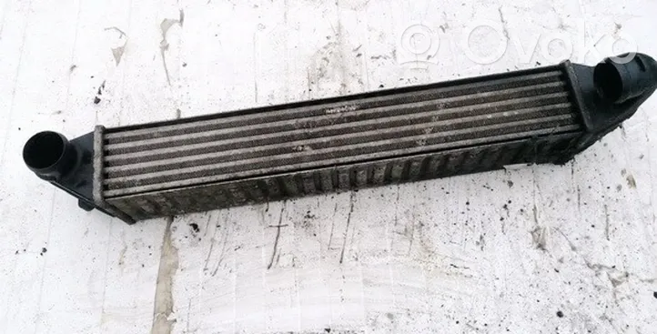 Seat Alhambra (Mk1) Radiatore intercooler 