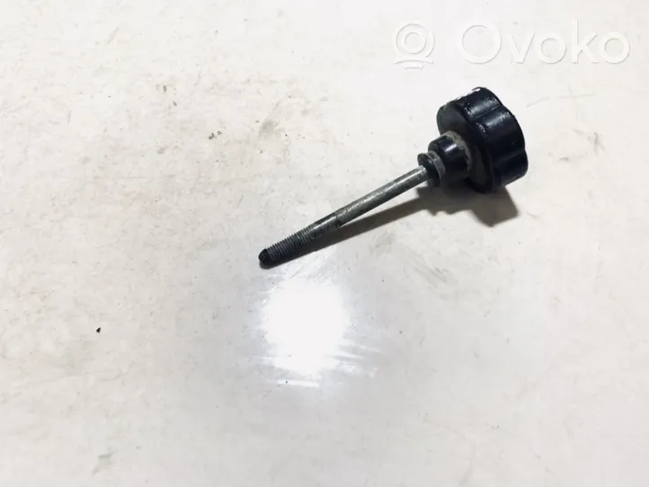 Ford Galaxy Spare wheel bolt 701012119