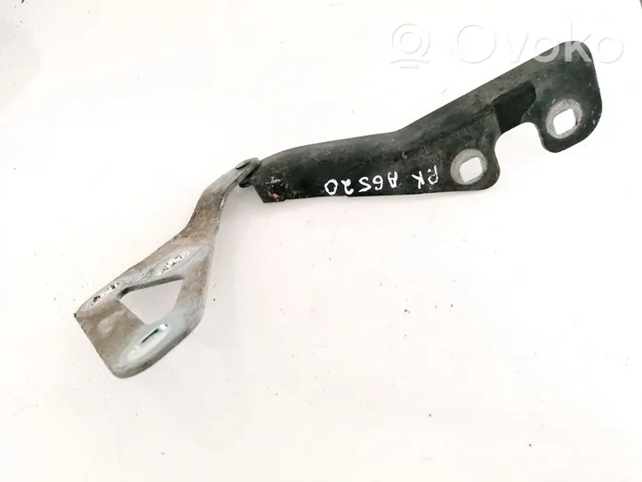 Opel Signum Cerniere del vano motore/cofano 24435369RH